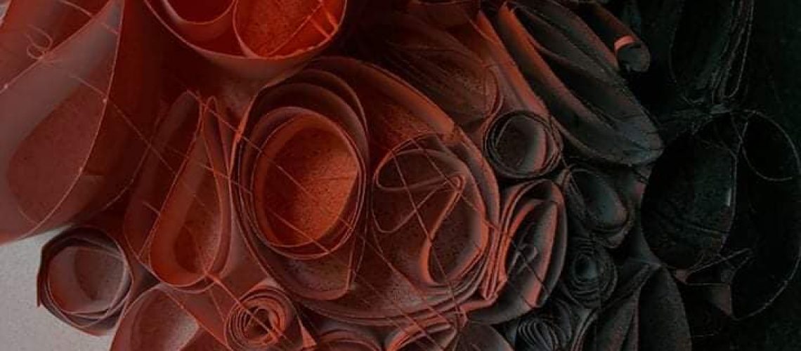 245274366_3005284059718542_6214293371187784437_n