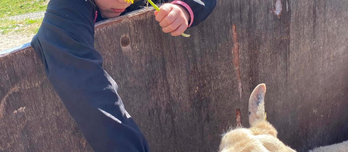 278979311_3140177889562491_2969105635163651283_n