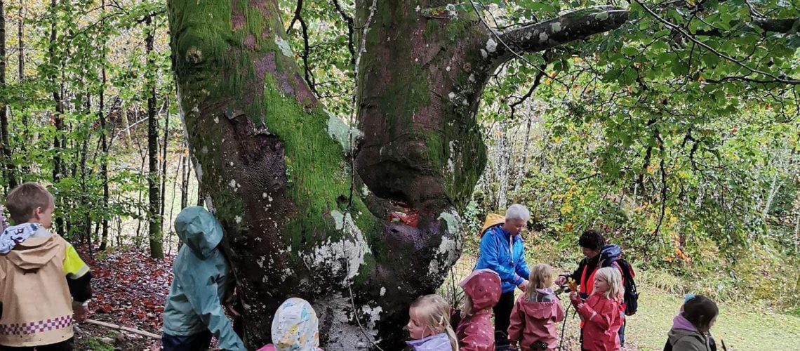 383001322_1339356566874495_4884129213987227707_n-1