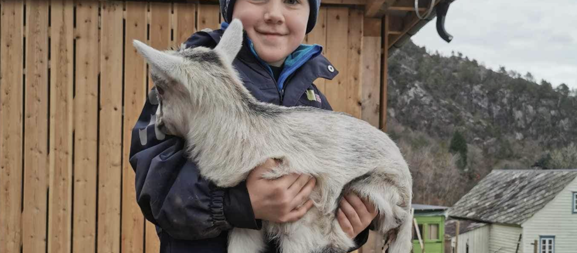 Skjermbilde 2024-08-05 kl. 13.34.48