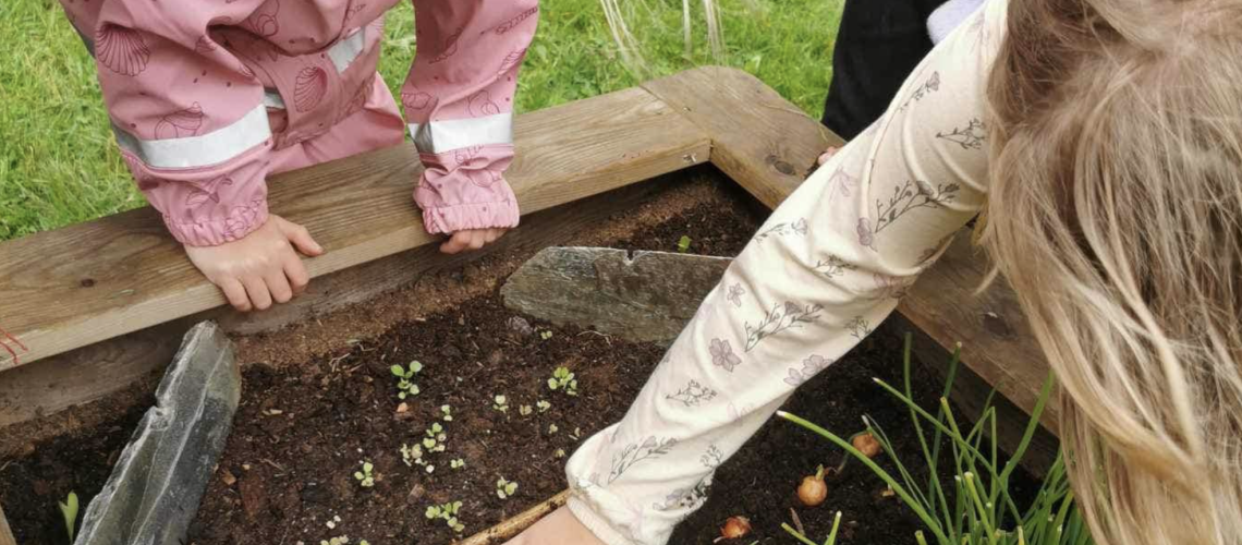 Skjermbilde 2024-08-05 kl. 14.39.11